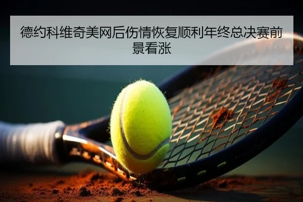 德约科维奇美网后伤情恢复顺利年终总决赛前景看涨